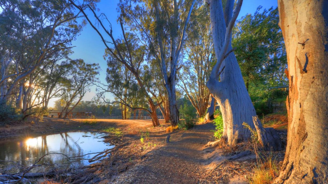 Moama Riverside Holiday Park Extérieur photo